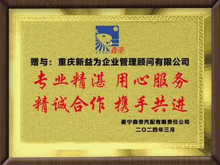 遂寧森帝汽配制造有限責(zé)任公司